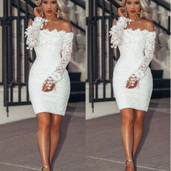 Lace Dress Lone Sleeve Evening Party Summer Mini DressesWomen's Lace Dress Lone Sleeve Evening Party Summer Mini Dresses